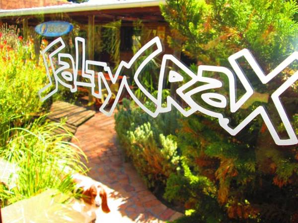 Saltycrax Backpackers and Surf Hostel