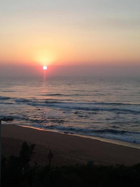 Greenfire Dolphin Coast Lodge