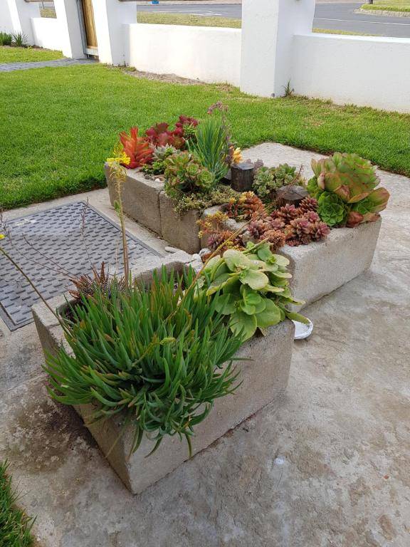 Land's Edge Eco Friendly Cottages and Apartments