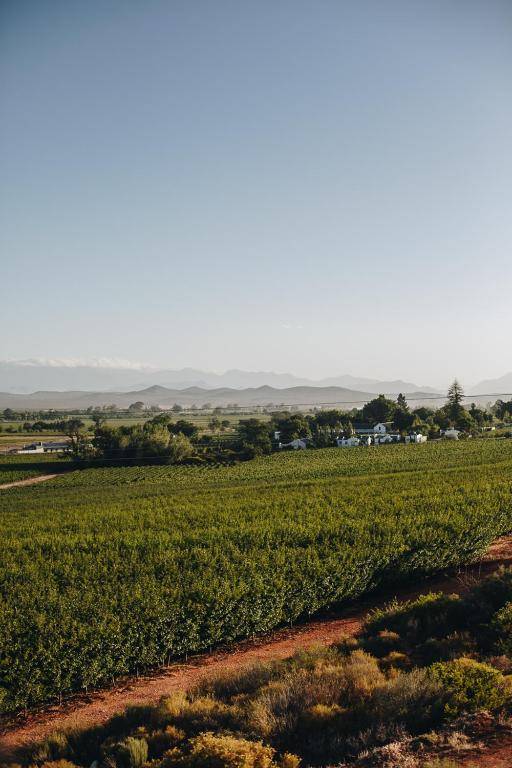 Leipzig Country House & Winery