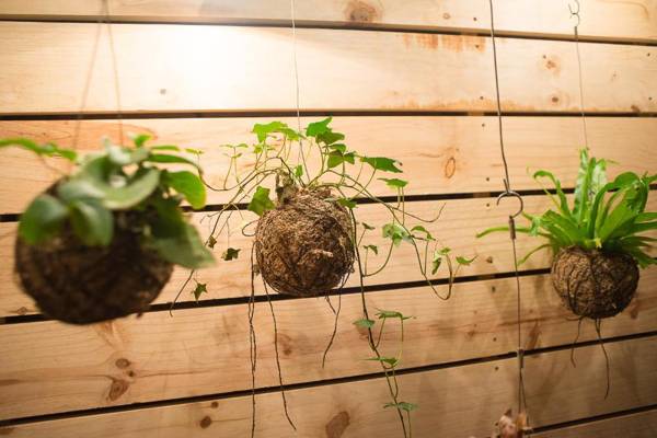 Brahman Hills - Gardens Hotel & Cottages