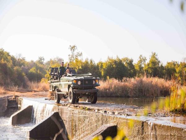 Mziki Safari Lodge