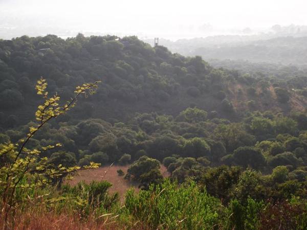 Shamba Yetu Mountain Lodge