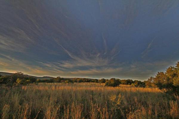 Karee & Wild Olive Guest Lodge