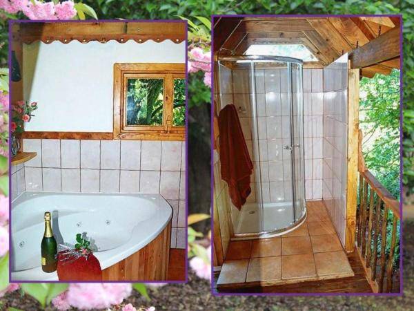 Sycamore Avenue Treehouses & Cottages Accommodation