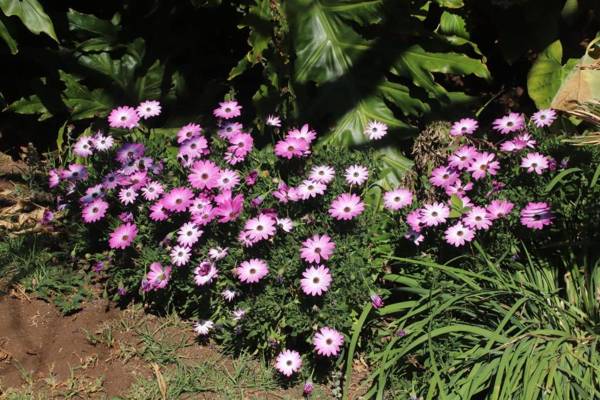 Kareekloof Game Farm