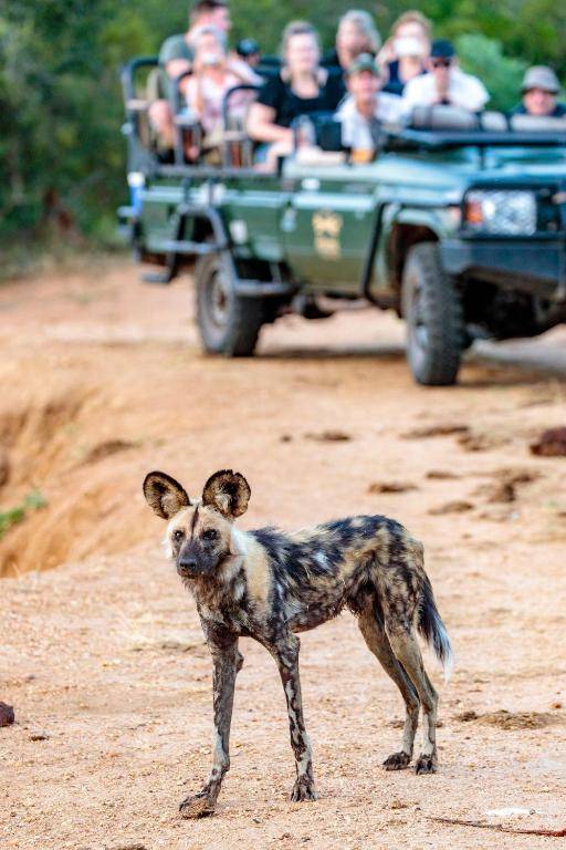 Shindzela Tented Camp