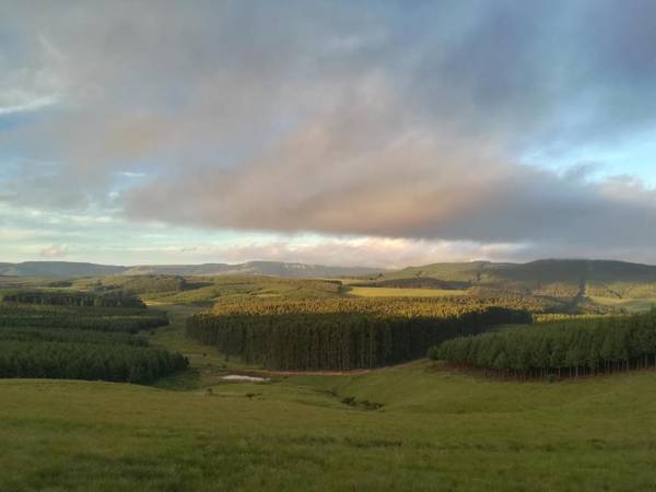 Curry's Post Bed & Breakfast