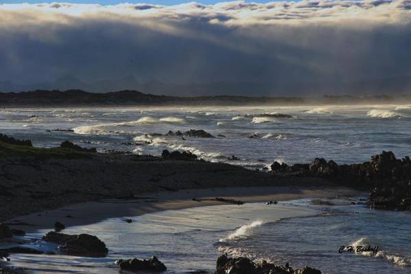 Walkerbay Accommodation