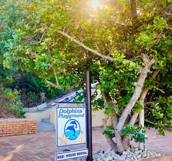 Dolphins' Playground Beachfront B&B