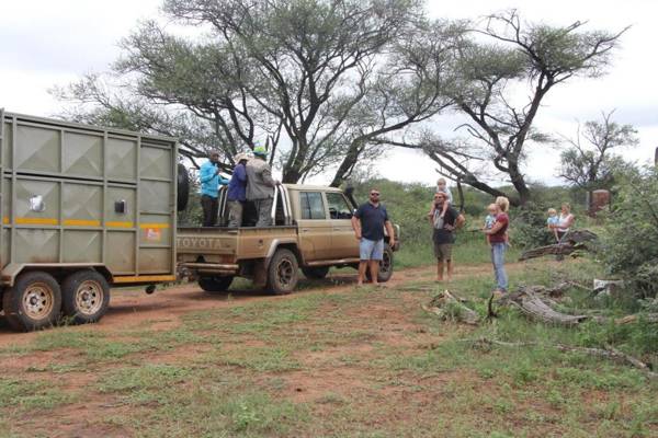 Simba Safaris Private Game Lodge with Predators