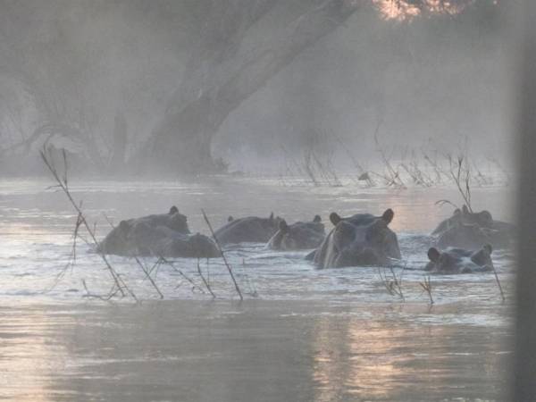Kayube Zambezi River House